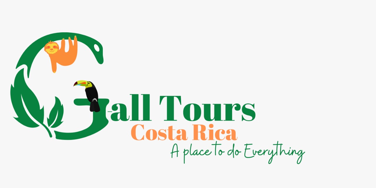 ALL TOURS COSTA RICA | GetYourGuide Supplier