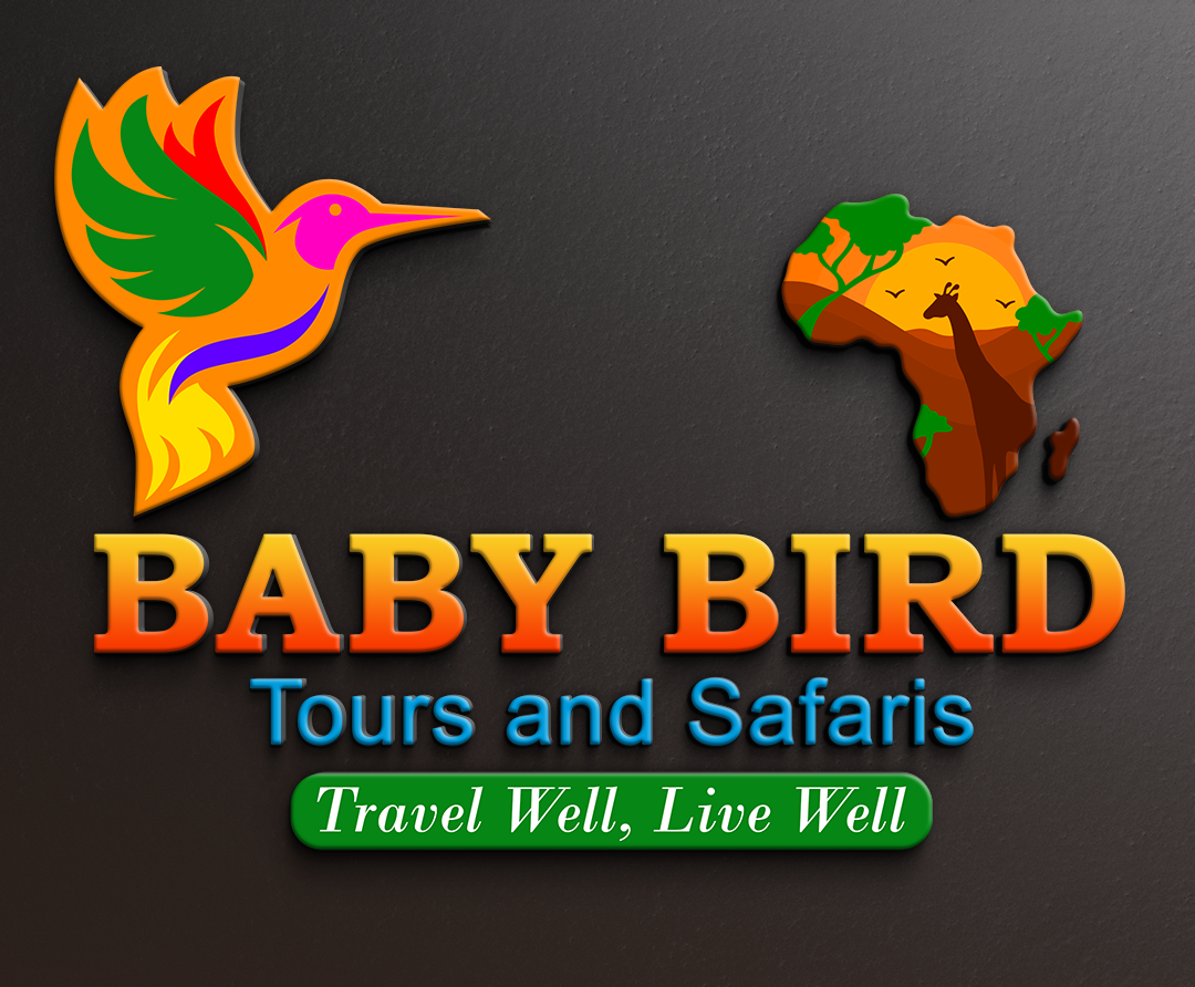 baby bird tours and safaris