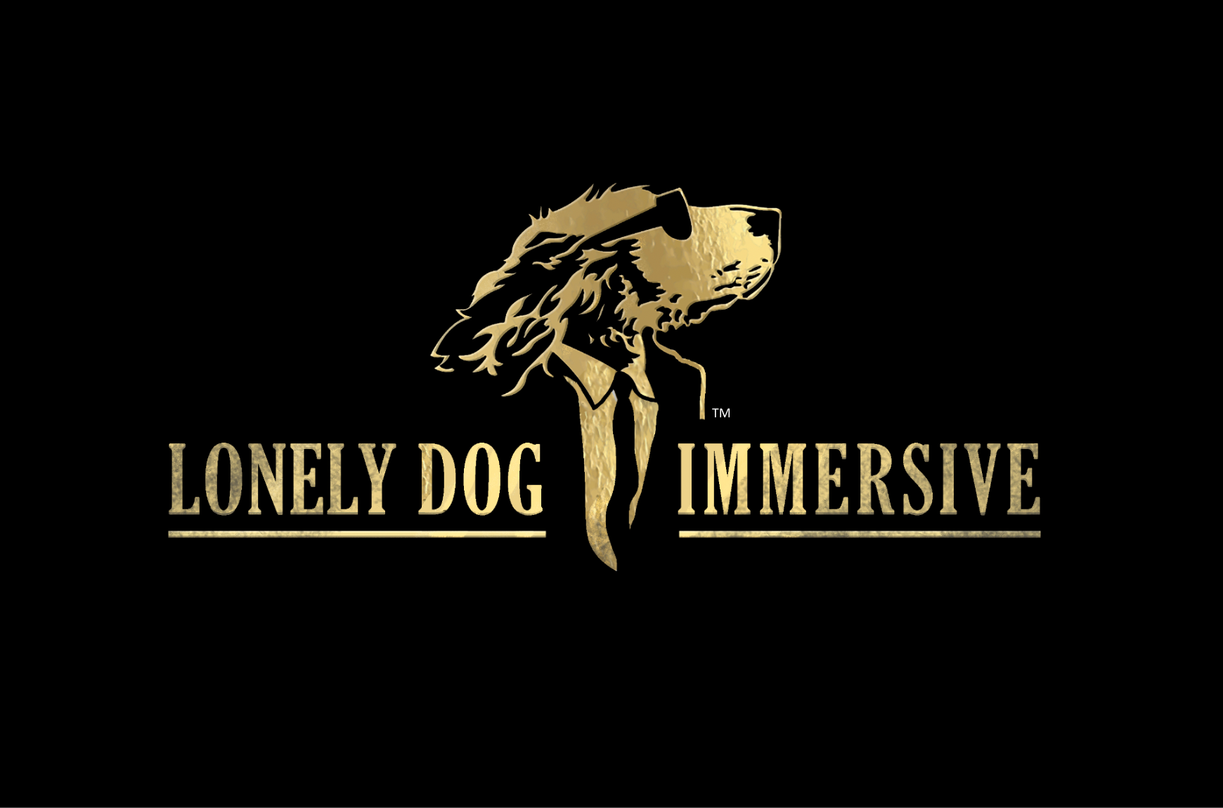 Lonely Dog Immersive Experience | Fournisseur GetYourGuide 