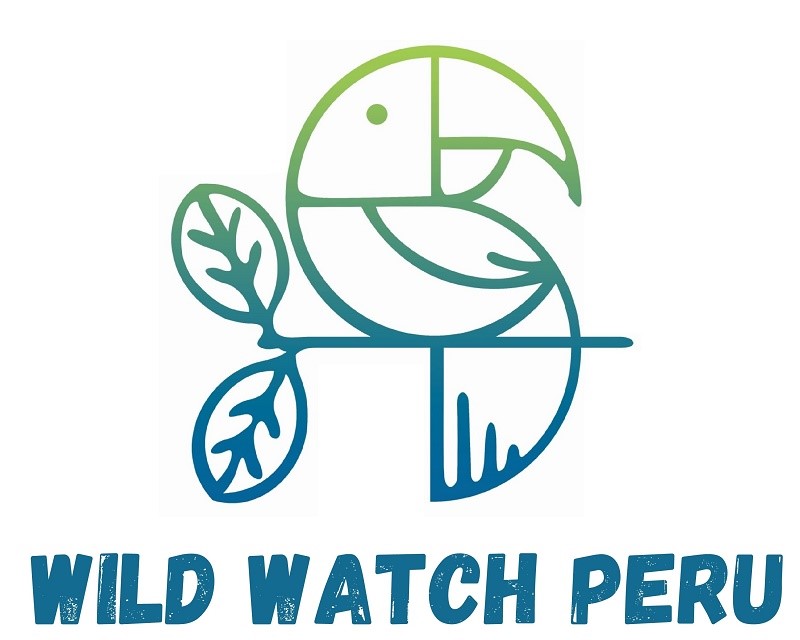 Wild Watch Peru Getyourguide Anbieter