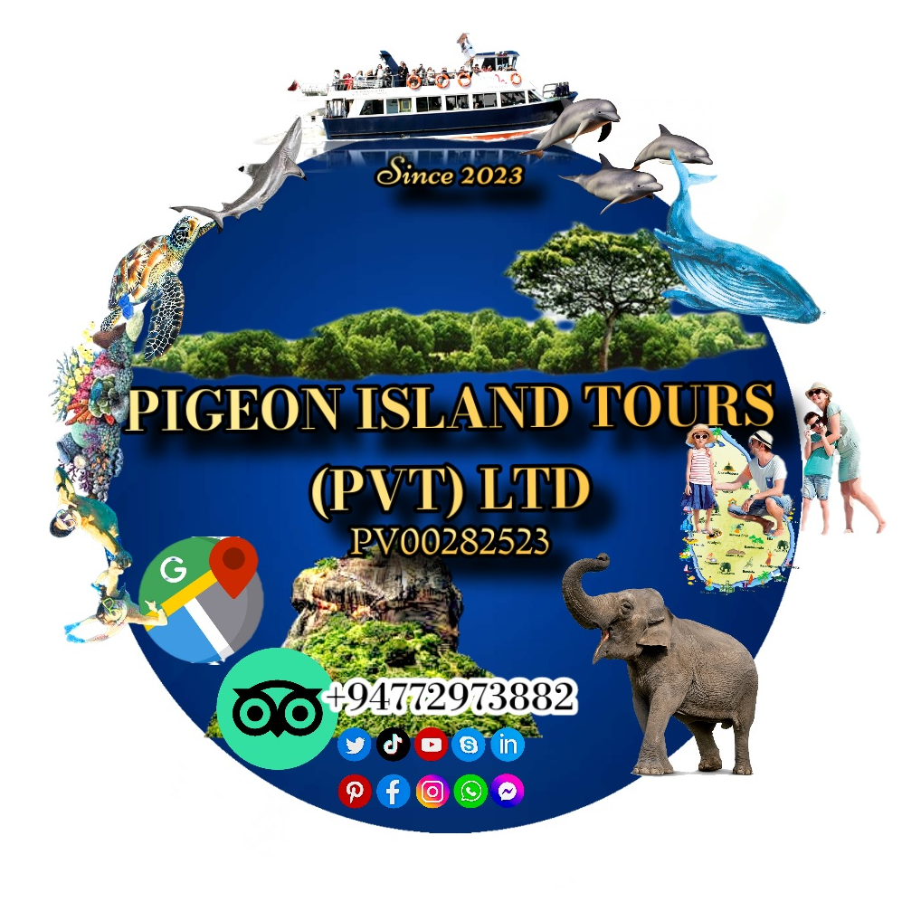 PIGEON ISLAND TOURS PVT LTD | GetYourGuide-aanbieder