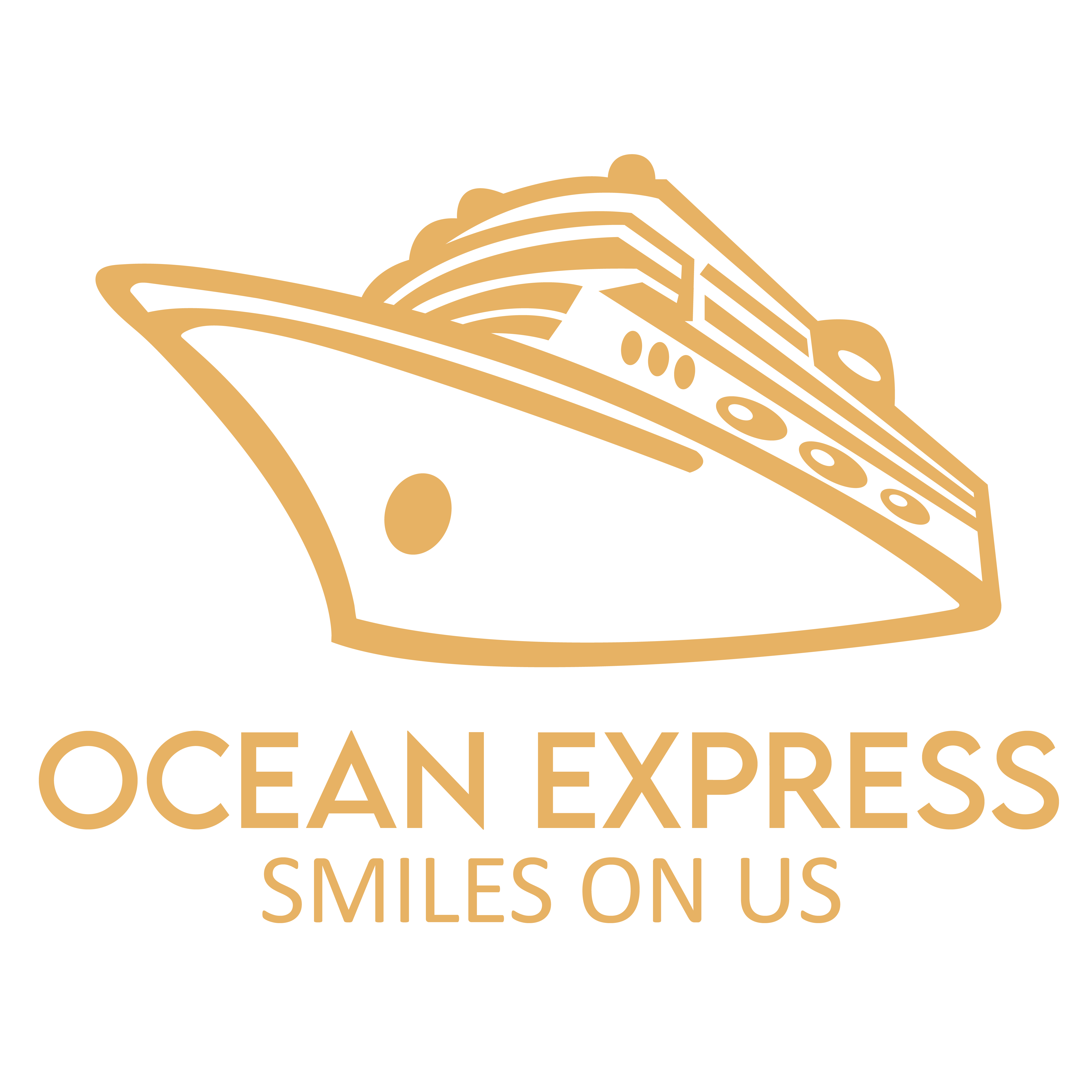 Ocean Express Floating Restaurant LLC | Proveedor de GetYourGuide