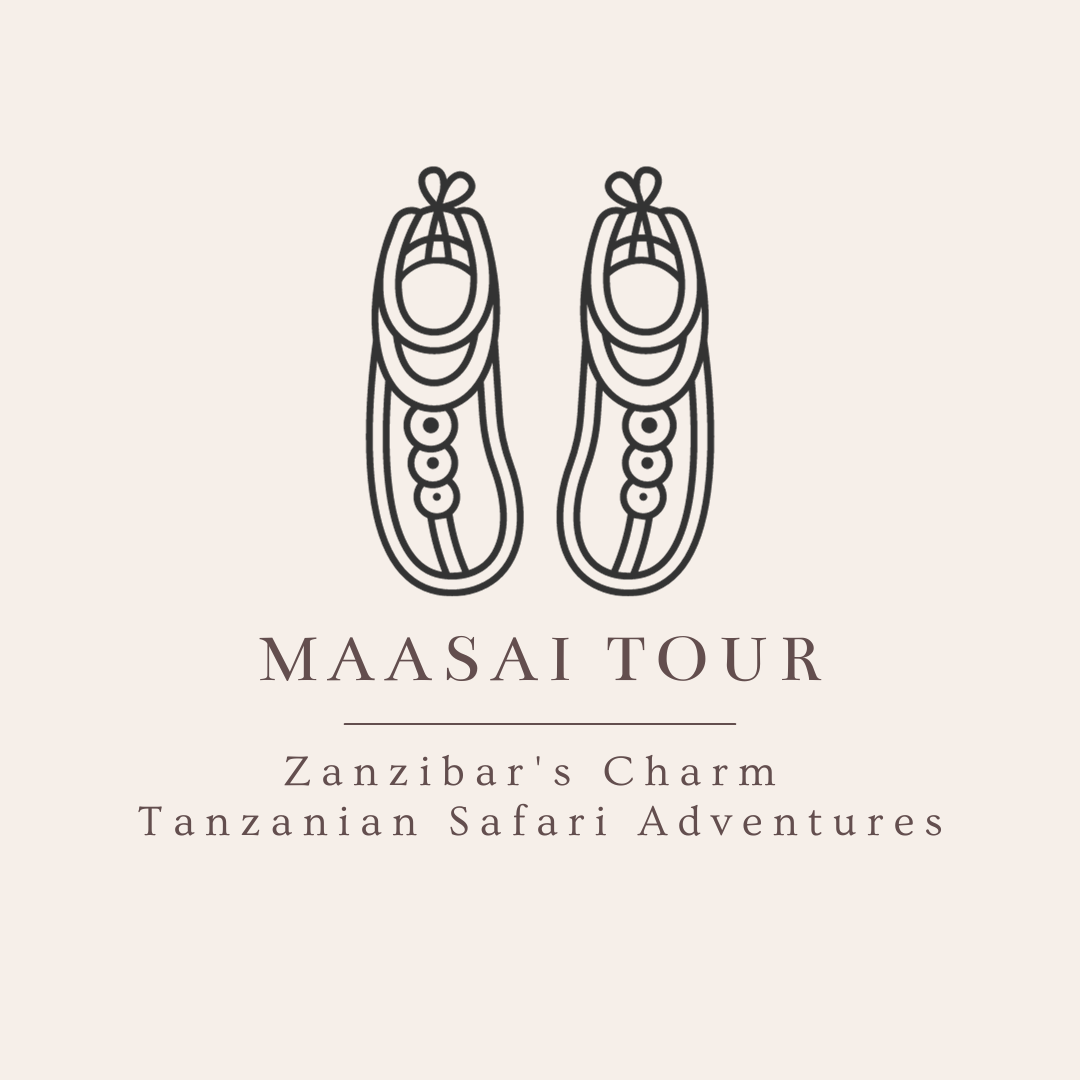 maasai-tour-getyourguide-anbieter