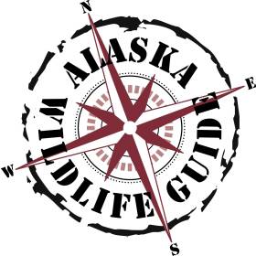 Alaska Wildlife Guide LLC