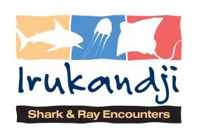 Irukandji Shark & Ray Encounters