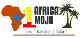 Africa Moja Tours & Safaris