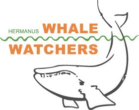 Hermanus Whale watchers