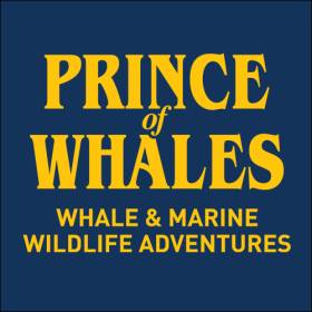 PRINCE OF WHALES
