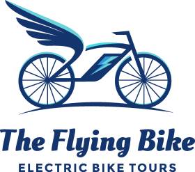 flying with your bike