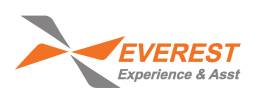 Everest Experience and Assistance
