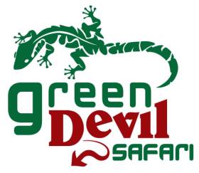 Green Devil Safari - open 4x4 tours