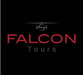 Falcon Aviation Services