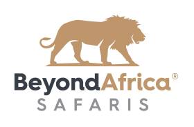 Beyond the Safari: Unveiling Africa's Undiscovered Cultural Treasures