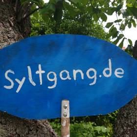 Jörg Ridder | GetYourGuide Supplier