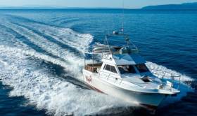 Marlin boat tours | GetYourGuide Supplier