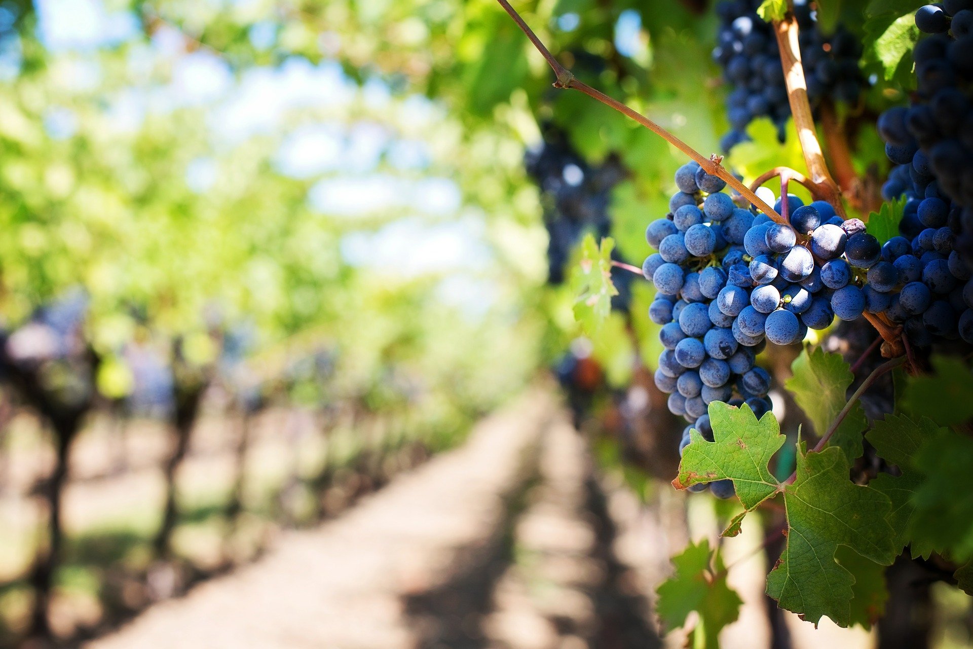 Landscapes, Pottery, and Winery Tour